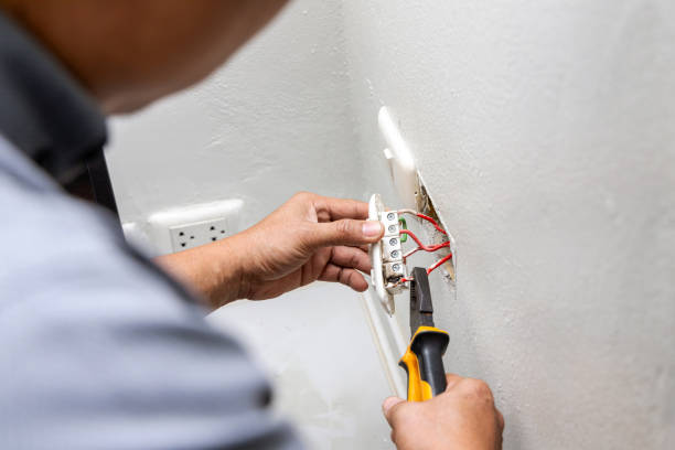 Best Licensed Electrician  in Skyline Acres, OH